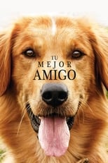 tu-mejor-amigo