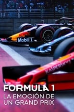 formula-1-la-emocion-de-un-grand-prix