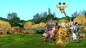 Madagascar: A Little Wild