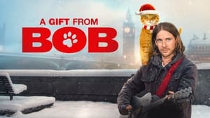 Mi Navidad con Bob