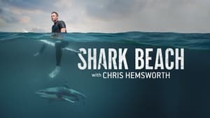 Shark Beach with Chris Hemsworth